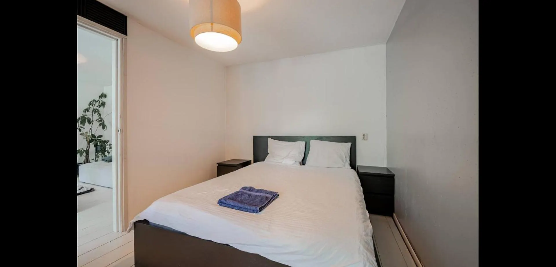Homestay Properties Amsterdam