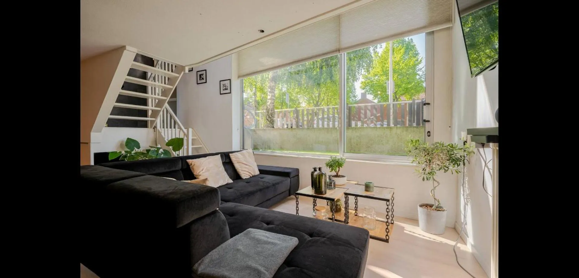 Homestay Properties Amsterdam